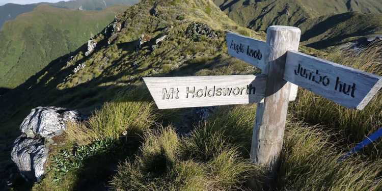 Tramper Terrence Ivan Elliot strayed from track before fatal fall in Tararua Forest Park Tramper Terrence Ivan Elliot strayed from track before fatal fall in Tararua Forest Park