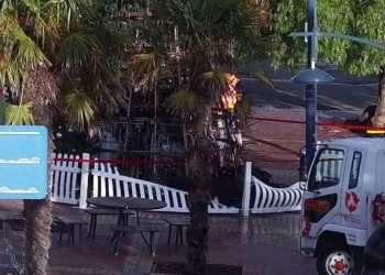 Man Arrested in Timaru Christmas Tree Fire Investigation Man Arrested in Timaru Christmas Tree Fire Investigation
