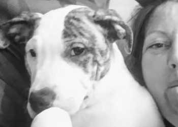 Woman Killed by Dog in Whyalla Identified Woman Killed by Dog in Whyalla Identified