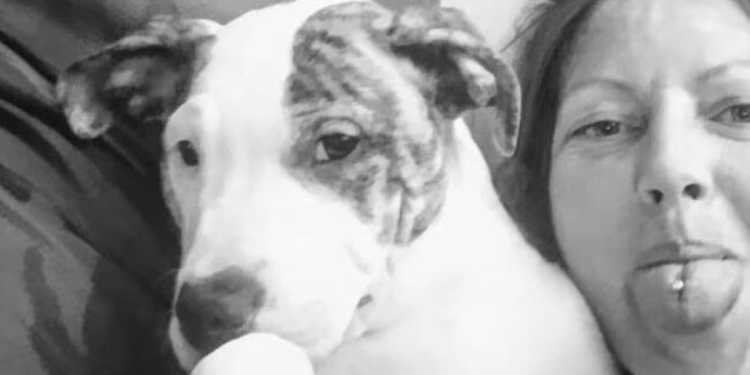 Woman Killed by Dog in Whyalla Identified Woman Killed by Dog in Whyalla Identified