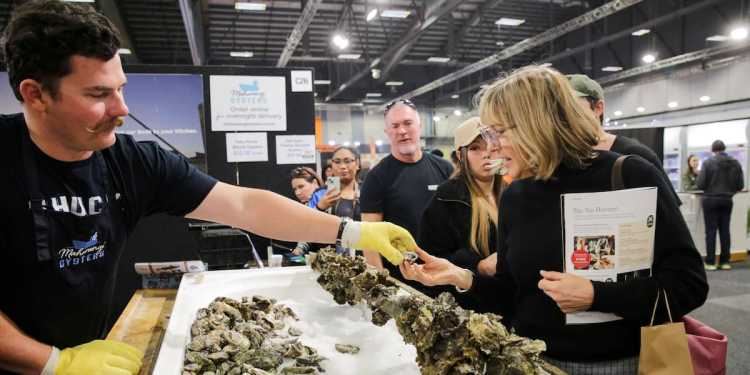 Love this City: Oyster farmers’ desperate plea; some e-scooter sense (at last); the wonderful art and light show of Matariki Love this City: Oyster farmers’ desperate plea; some e-scooter sense (at last); the wonderful art and light show of Matariki