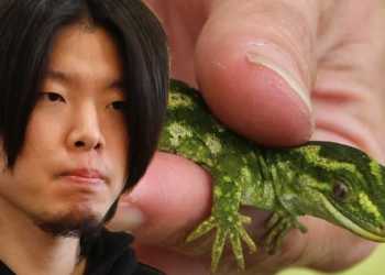 South Korean Man Sentenced for Gecko Trafficking in Auckland South Korean Man Sentenced for Gecko Trafficking in Auckland