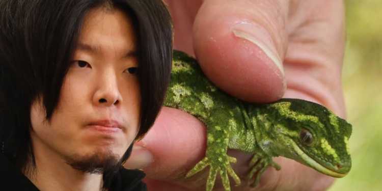 South Korean Man Sentenced for Gecko Trafficking in Auckland South Korean Man Sentenced for Gecko Trafficking in Auckland
