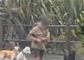 Auckland Dog Walker Recorded Swinging Dog on Leash Auckland Dog Walker Recorded Swinging Dog on Leash