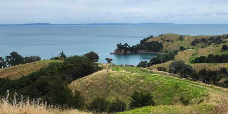 Auckland’s Saint Kentigern buys 400ha Coromandel farm for almost m Auckland’s Saint Kentigern buys 400ha Coromandel farm for almost m