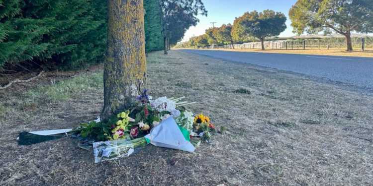 Close friend of driver in fatal Martinborough crash says remorse weighed heavily before he passed Close friend of driver in fatal Martinborough crash says remorse weighed heavily before he passed