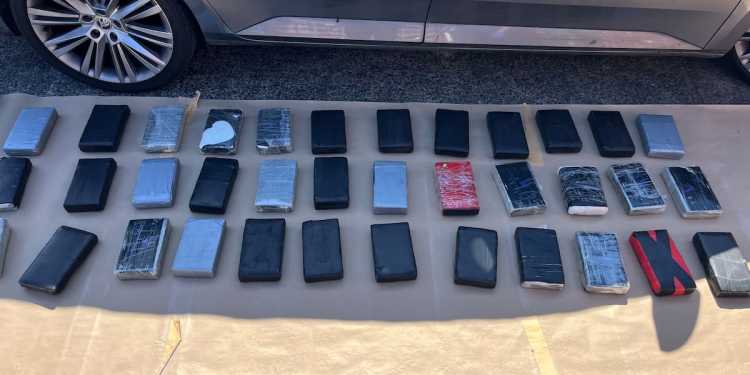 Cocaine valued at .6 million discovered in Auckland container Cocaine valued at .6 million discovered in Auckland container