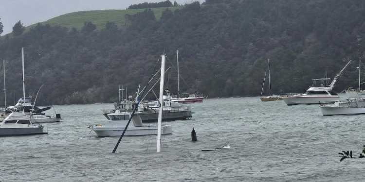 Cyclone Tam live updates: Storm to worsen in coming hours, trees toppled, roads closed Cyclone Tam live updates: Storm to worsen in coming hours, trees toppled, roads closed