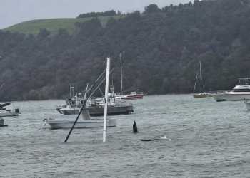 Cyclone Tam live updates: Storm to worsen in coming hours, trees toppled, roads closed Cyclone Tam live updates: Storm to worsen in coming hours, trees toppled, roads closed