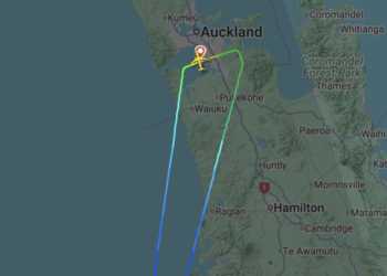 Air New Zealand Auckland to Wellington flight diverted over engine issue Air New Zealand Auckland to Wellington flight diverted over engine issue