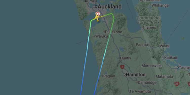 Air New Zealand Auckland to Wellington flight diverted over engine issue Air New Zealand Auckland to Wellington flight diverted over engine issue
