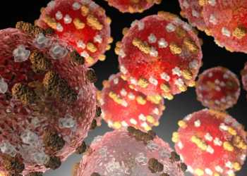 Measles Exposure Sites Require Urgent Healthline Contact Measles Exposure Sites Require Urgent Healthline Contact