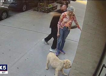 NYC woman, 81, walking dog feels ‘lucky’ to be alive after video shows man brutally punching her in the face NYC woman, 81, walking dog feels ‘lucky’ to be alive after video shows man brutally punching her in the face