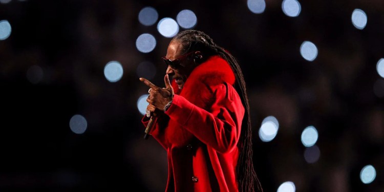 Snoop Dogg Performs at NFL Halftime Show
Audience Reactions Snoop Dogg Performs at NFL Halftime Show
Audience Reactions