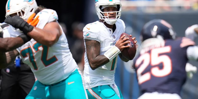 Dolphins, Bears finish in 24-24 tie in the preseason Dolphins, Bears finish in 24-24 tie in the preseason