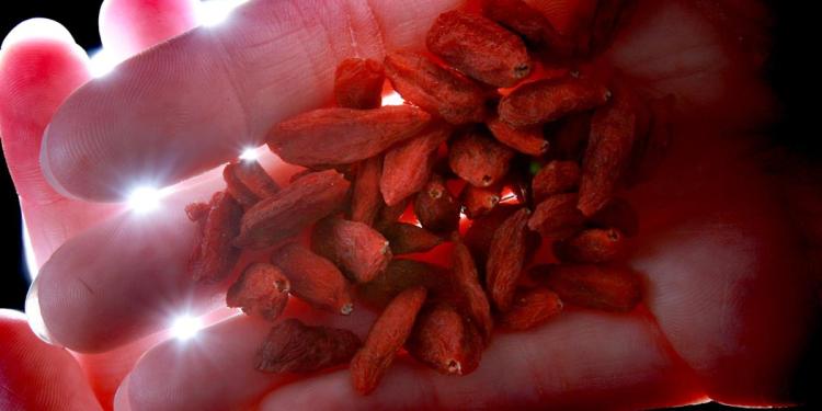 Chinese farmers across 14 towns are spraying industrial sulfur on wolfberries so they’d be ‘red and beautiful:’ state media Chinese farmers across 14 towns are spraying industrial sulfur on wolfberries so they’d be ‘red and beautiful:’ state media