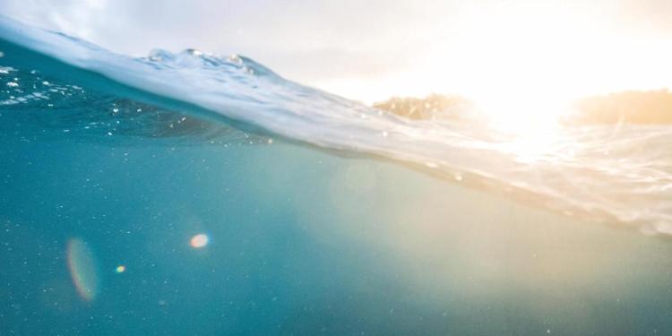 2024’s extreme ocean heat leaves 2 mysteries to solve 2024’s extreme ocean heat leaves 2 mysteries to solve