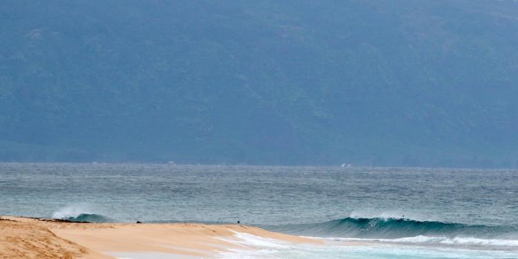 Shark bites 61-year-old Maui surfer, completely severing his leg below the knee Shark bites 61-year-old Maui surfer, completely severing his leg below the knee