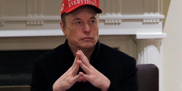Musk calls for ‘zero tariff situation’ between US and Europe, slams Trump trade adviser Musk calls for ‘zero tariff situation’ between US and Europe, slams Trump trade adviser
