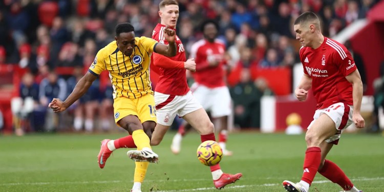 Nottingham Forest vs Brighton Live Updates and Scores Nottingham Forest vs Brighton Live Updates and Scores