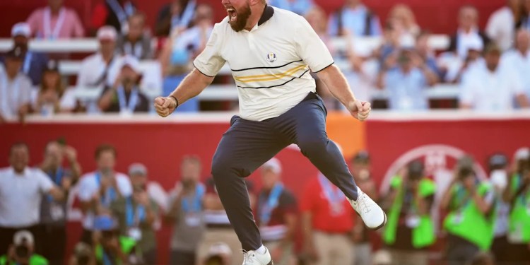 Europe defeats USA to win Ryder Cup at Bethpage Black Europe defeats USA to win Ryder Cup at Bethpage Black