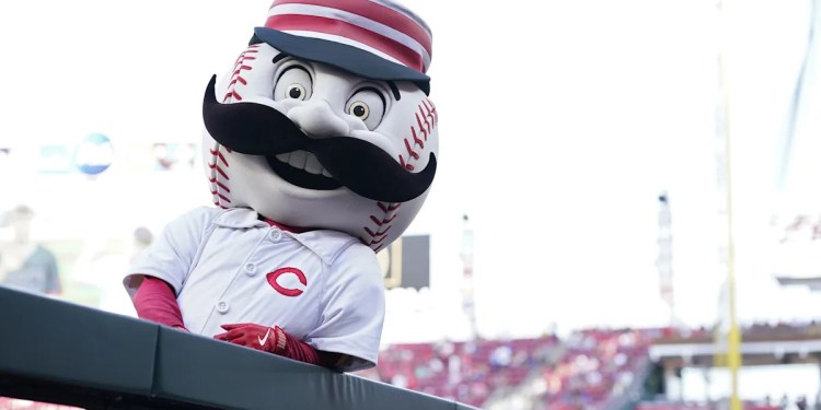 19th Prospect in Cincinnati Reds System 19th Prospect in Cincinnati Reds System