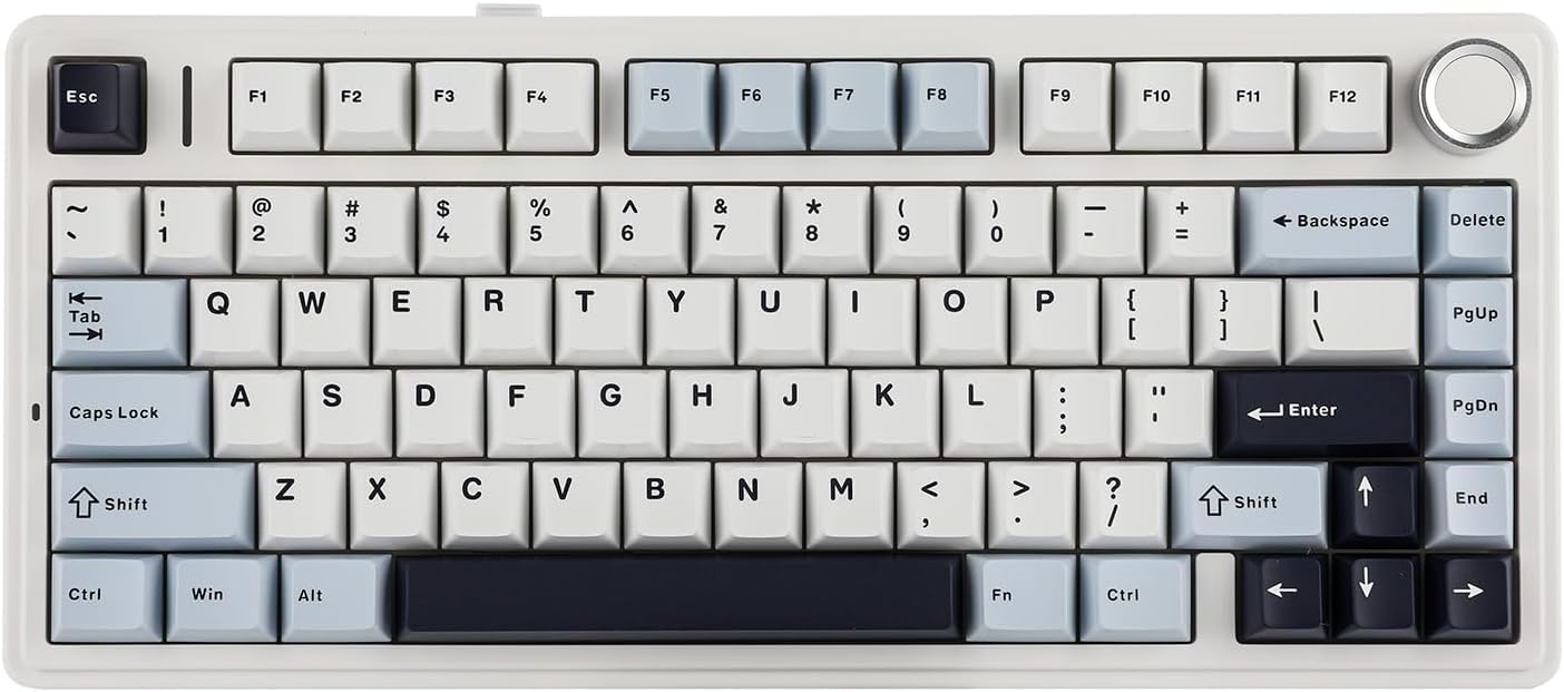 EPOMAKER x Aula F75 Gasket Mechanical Keyboard, 75% Wireless Hot Swappable Gaming Keyboard with Five-Layer Padding&Knob, BT/2.4GHz/USB-C, RGB (Light Blue, LEOBOG Reaper Switch) EPOMAKER x Aula F75 Gasket Mechanical Keyboard, 75% Wireless Hot Swappable Gaming Keyboard with Five-Layer Padding&Knob, BT/2.4GHz/USB-C, RGB (Light Blue, LEOBOG Reaper Switch)