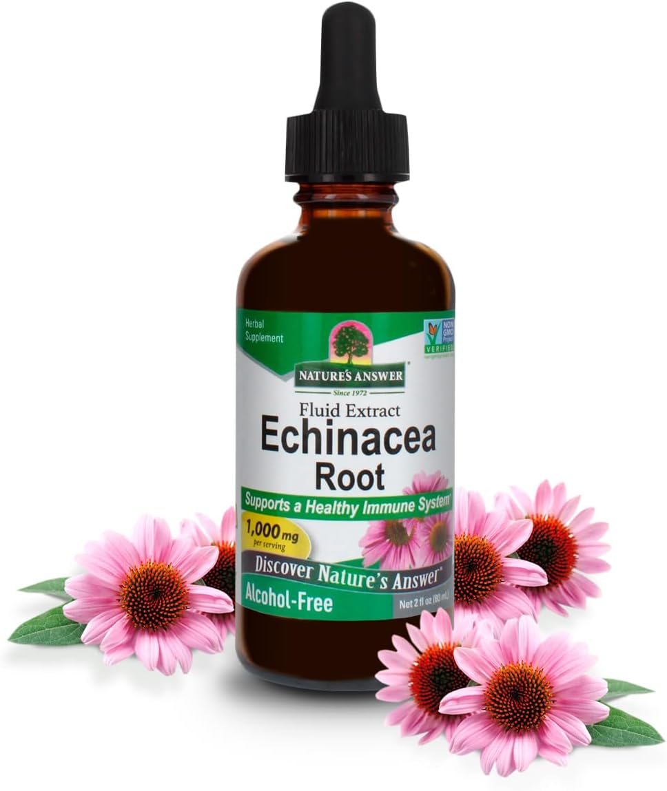 Nature’s Answer Echinacea Extract | Supports a Healthy Immune System | Vegan, Gluten-Free, Alcohol-Free, Non-GMO & Kosher Certified | 2oz Nature’s Answer Echinacea Extract | Supports a Healthy Immune System | Vegan, Gluten-Free, Alcohol-Free, Non-GMO & Kosher Certified | 2oz