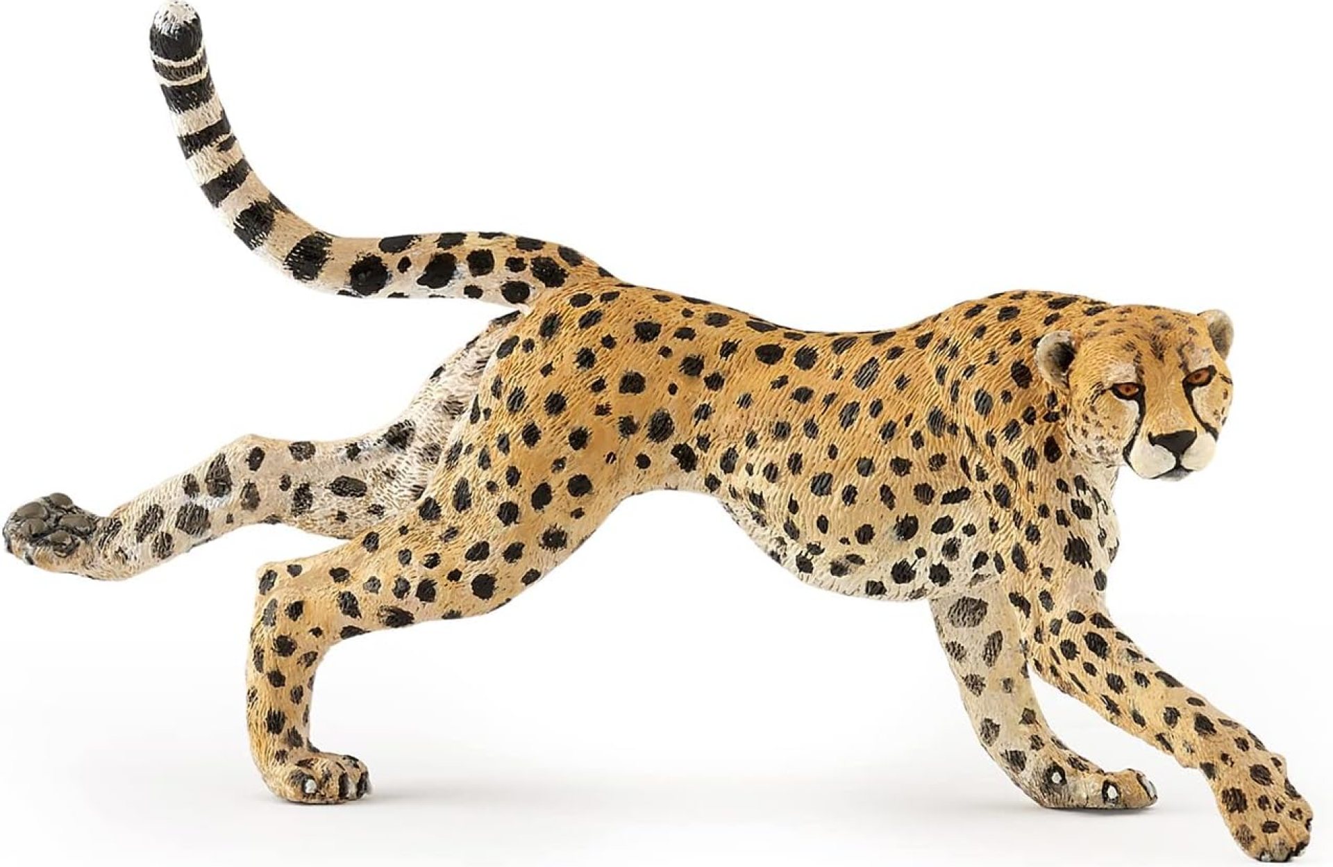 Papo – Running Cheetah Figurine – Hand-Painted Wildlife Predator for Kids Age 3+ – 12.5 x 3.5 x 6.8 cm – Fastest Land Animal Toy – La Vie Sauvage Collection – 50238 Papo – Running Cheetah Figurine – Hand-Painted Wildlife Predator for Kids Age 3+ – 12.5 x 3.5 x 6.8 cm – Fastest Land Animal Toy – La Vie Sauvage Collection – 50238