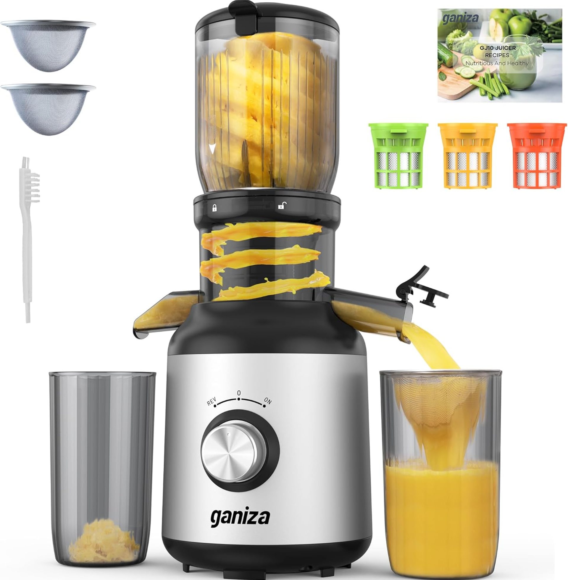 Ganiza Juicer Machines, Slow Masticating Juicers with Large Feed Chute for Whole Fruits & Vegetables, Cold Press Juicer with 3 Replace Filters for Batch Juicing, Easy to Clean, BPA Free(Silver) Ganiza Juicer Machines, Slow Masticating Juicers with Large Feed Chute for Whole Fruits & Vegetables, Cold Press Juicer with 3 Replace Filters for Batch Juicing, Easy to Clean, BPA Free(Silver)