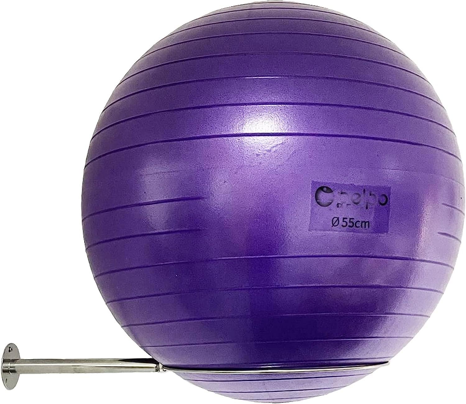 Stainless Steel Exercise Ball Holder – Wall Mounted Yoga Ball Storage Rack, 32 cm to 86 cm (13″ to 34″), With Mounting Screws Stainless Steel Exercise Ball Holder – Wall Mounted Yoga Ball Storage Rack, 32 cm to 86 cm (13″ to 34″), With Mounting Screws