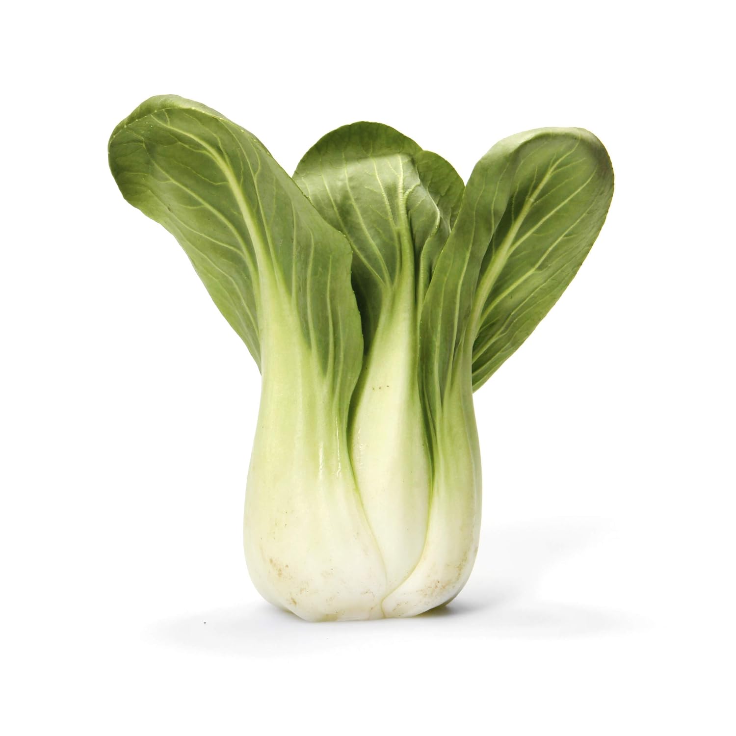 Organic Baby Bok Choy, 1 Each Organic Baby Bok Choy, 1 Each