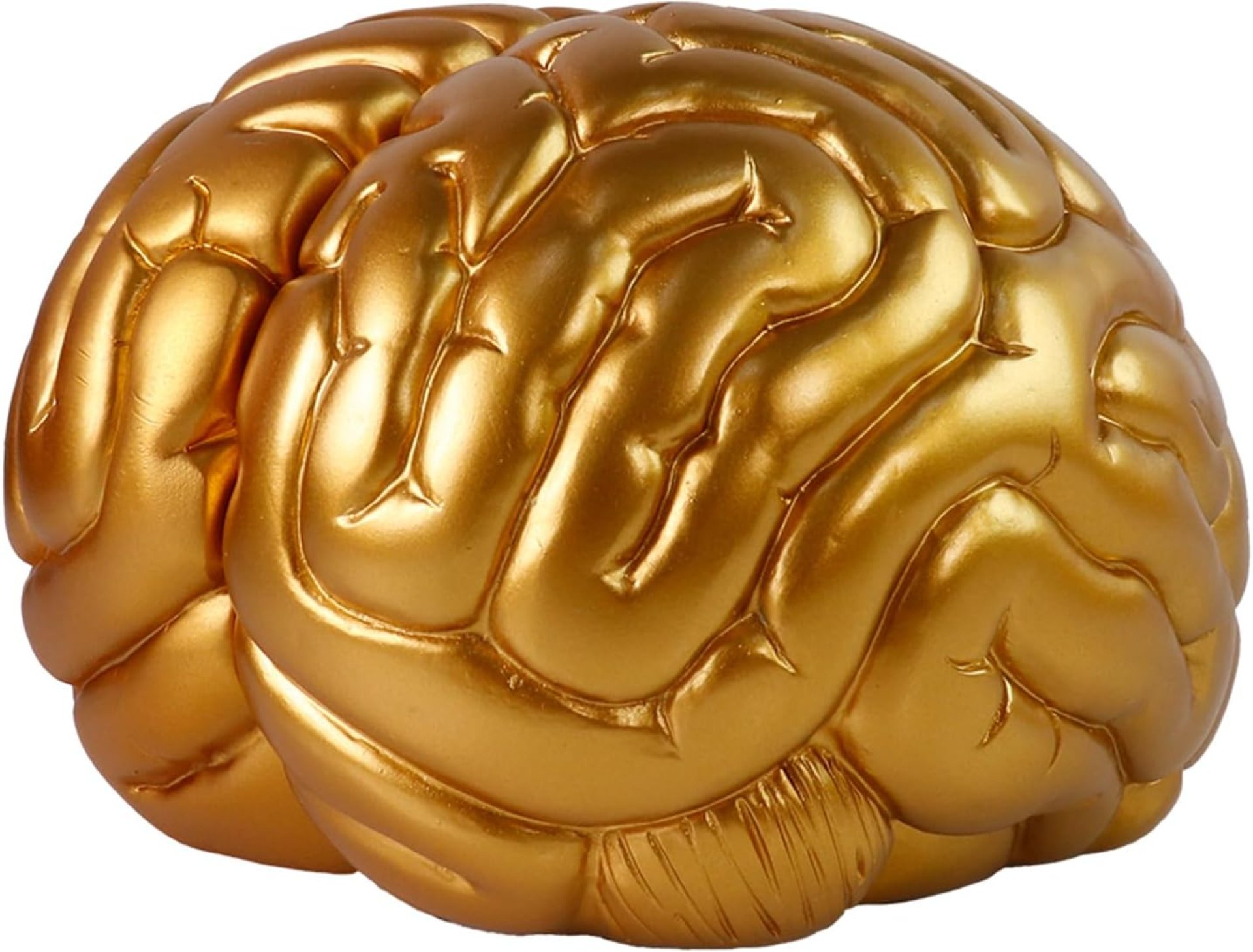 Brain Bookends Office Decorative Bookends for Shelves Heavy Bookends Book Stoppers Book Holders for Desk Decoration (Gold) Brain Bookends Office Decorative Bookends for Shelves Heavy Bookends Book Stoppers Book Holders for Desk Decoration (Gold)