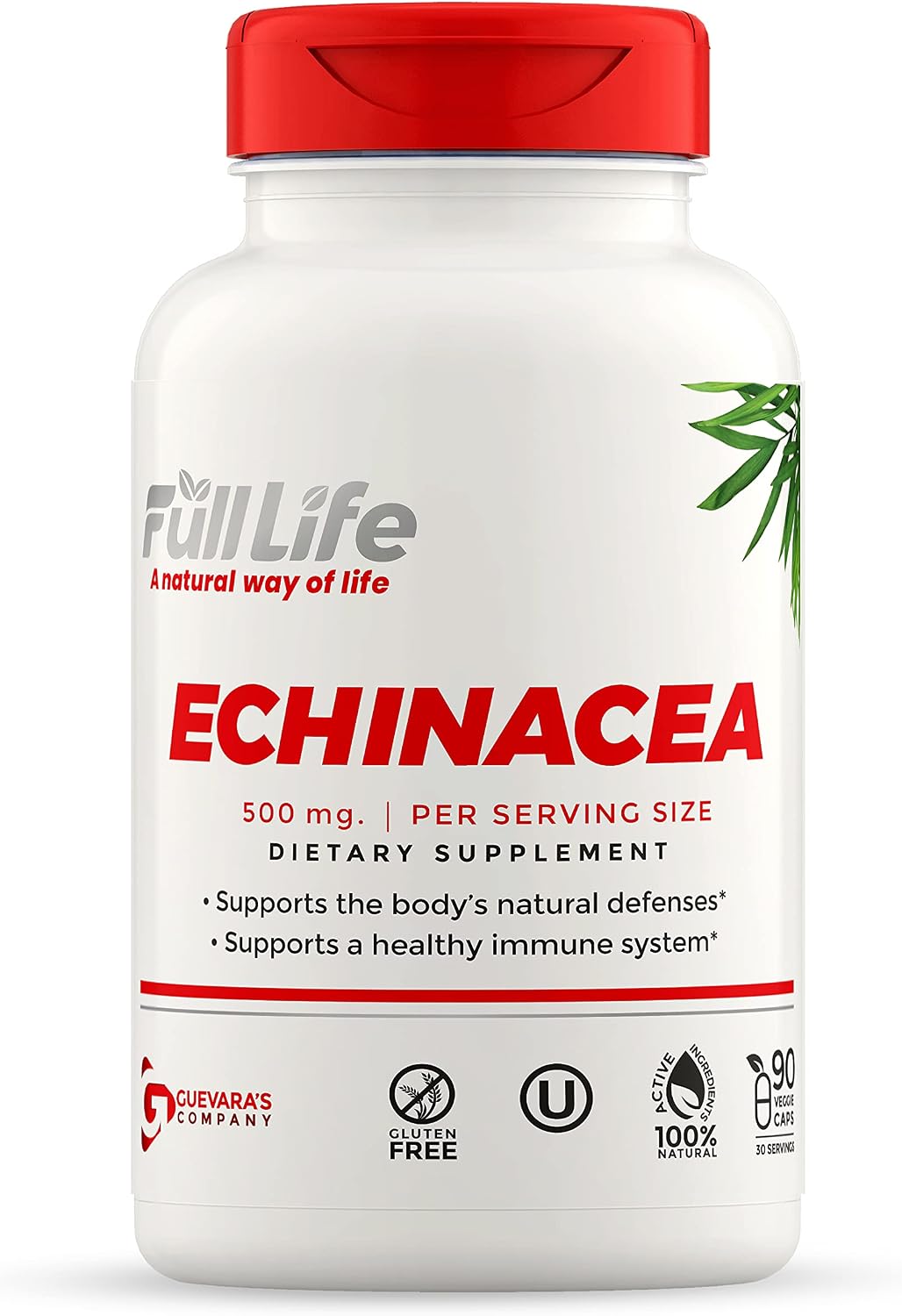 Full Life Echinacea Capsules – Herbal Dietary Supplements – Immune Support Supplement – Echinacea Purpurea Pills for Women and Men -Kosher, Gluten Free – 90 Veggie Capsules Full Life Echinacea Capsules – Herbal Dietary Supplements – Immune Support Supplement – Echinacea Purpurea Pills for Women and Men -Kosher, Gluten Free – 90 Veggie Capsules