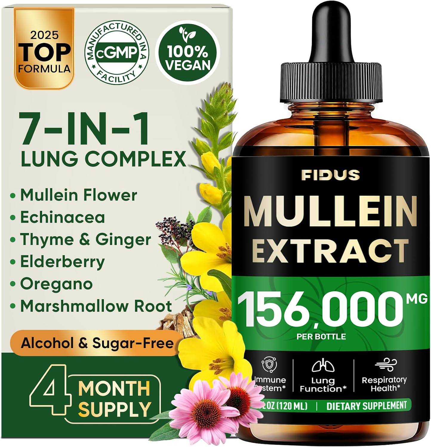 Fidus 7 in 1 Mullein Drops for Lungs & Lymphatic Drainage – Echinacea | Oregano | Ginger | Elderberry | Marshmallow Root |Thyme – Lung Detox for Smokers, Respiratory & Immune Support, Non-GMO,4 fl oz Fidus 7 in 1 Mullein Drops for Lungs & Lymphatic Drainage – Echinacea | Oregano | Ginger | Elderberry | Marshmallow Root |Thyme – Lung Detox for Smokers, Respiratory & Immune Support, Non-GMO,4 fl oz