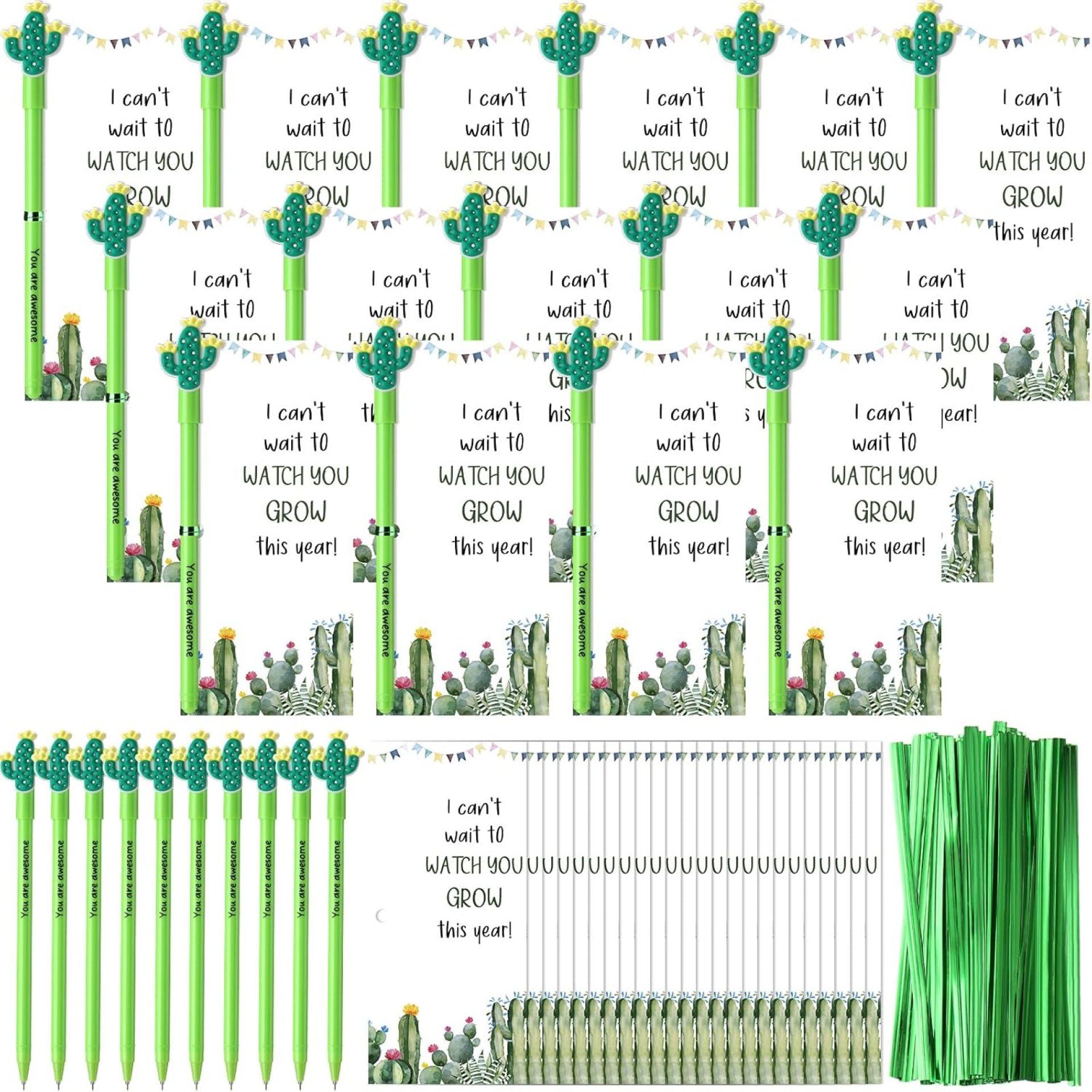 50 Sets Back to School Gifts for Classroom Cactus Ballpoint Pens Inspirational Roller Pens First Day of School Cards with Plastic Ties Stationery Supplies 50 Sets Back to School Gifts for Classroom Cactus Ballpoint Pens Inspirational Roller Pens First Day of School Cards with Plastic Ties Stationery Supplies