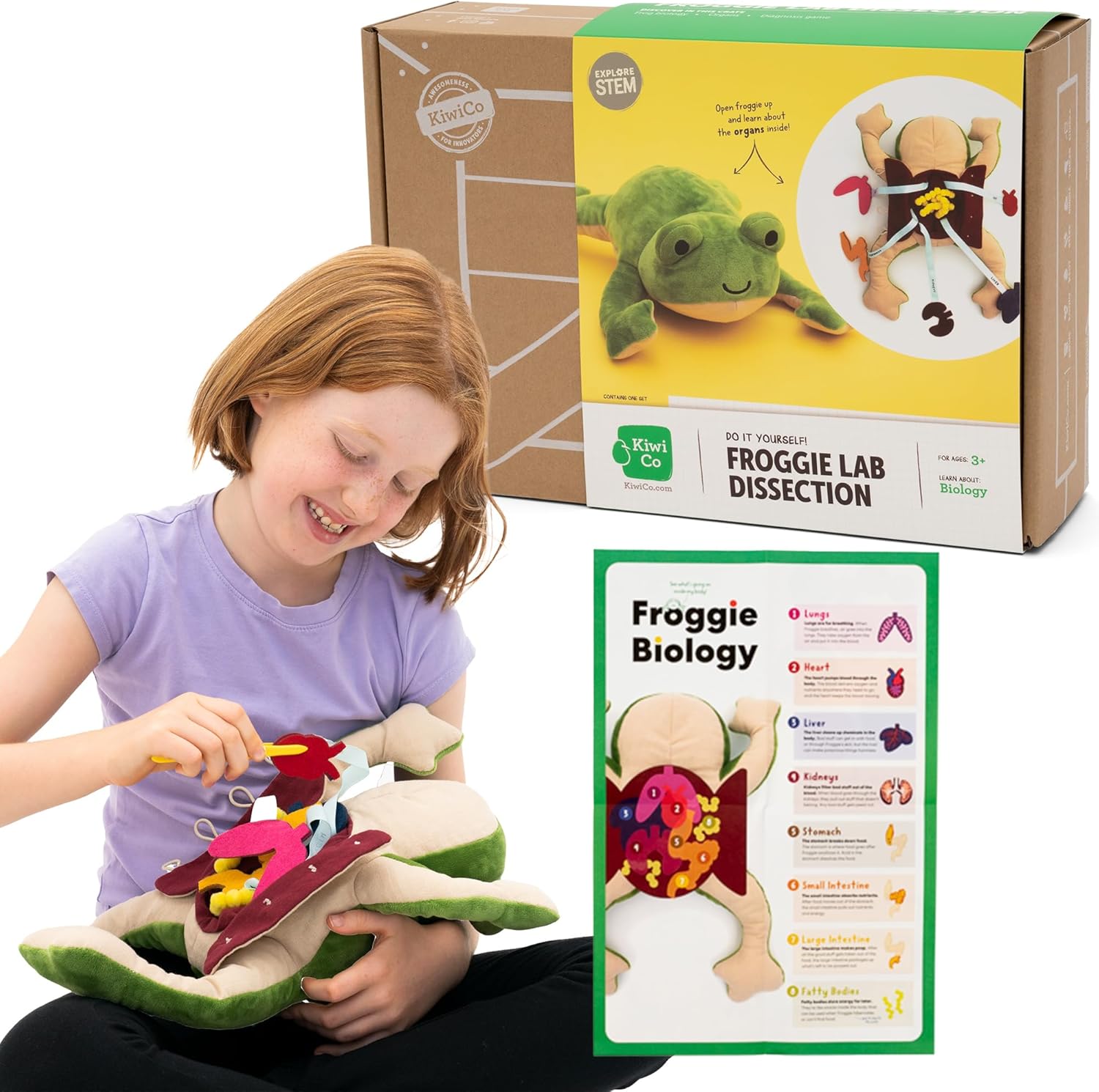 KiwiCo Froggie Lab Dissection Plush Toy – Anatomy Learning Toy for Ages 3 and Up KiwiCo Froggie Lab Dissection Plush Toy – Anatomy Learning Toy for Ages 3 and Up