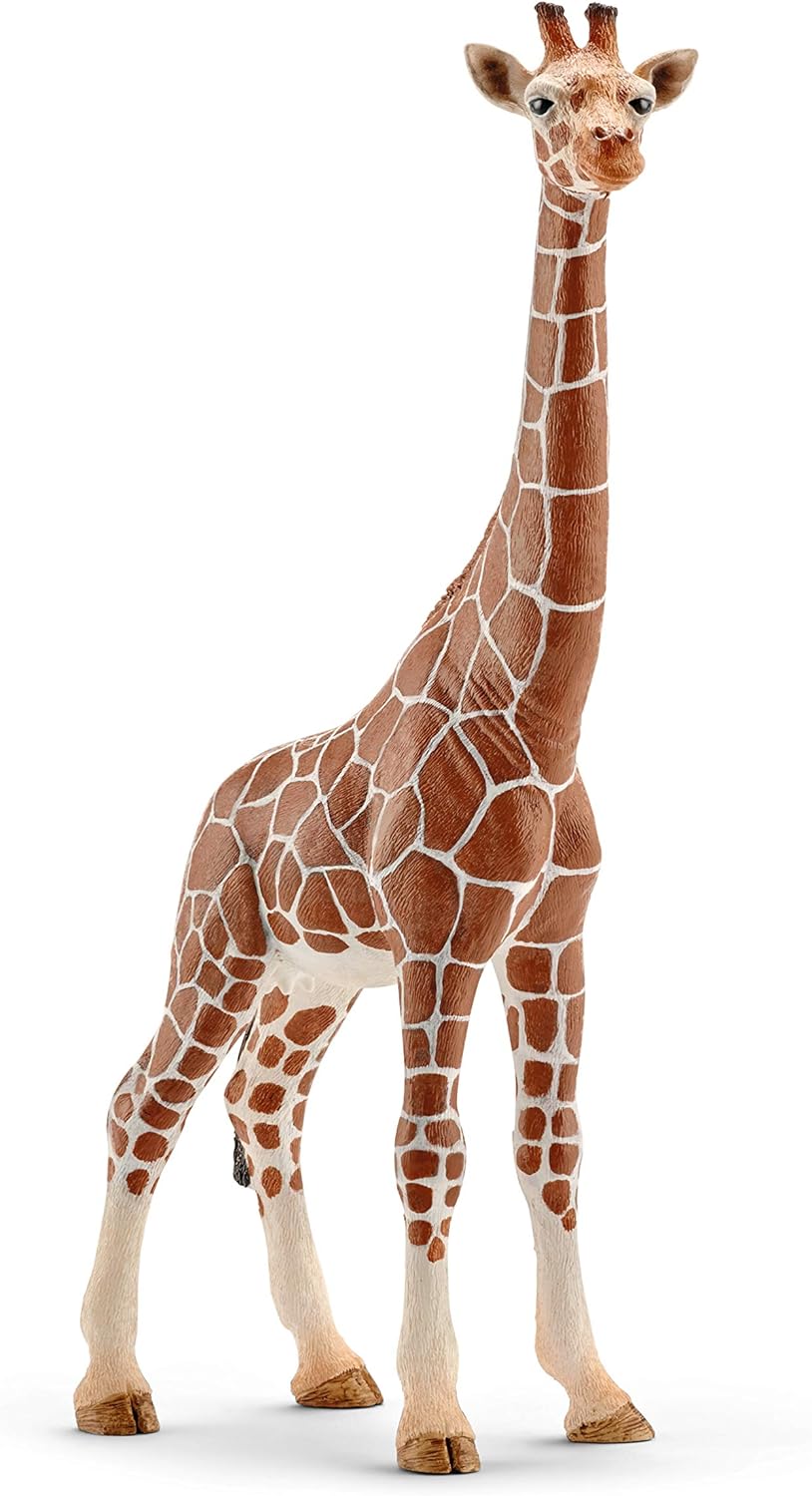 Schleich Wild Life Realistic Female Giraffe Animal Figurine – Authentic Detailed Wild Female Giraffe Toy for Boys and Girls Education Imagination and Play, Highly Durable Gift for Kids Ages 3+ Schleich Wild Life Realistic Female Giraffe Animal Figurine – Authentic Detailed Wild Female Giraffe Toy for Boys and Girls Education Imagination and Play, Highly Durable Gift for Kids Ages 3+