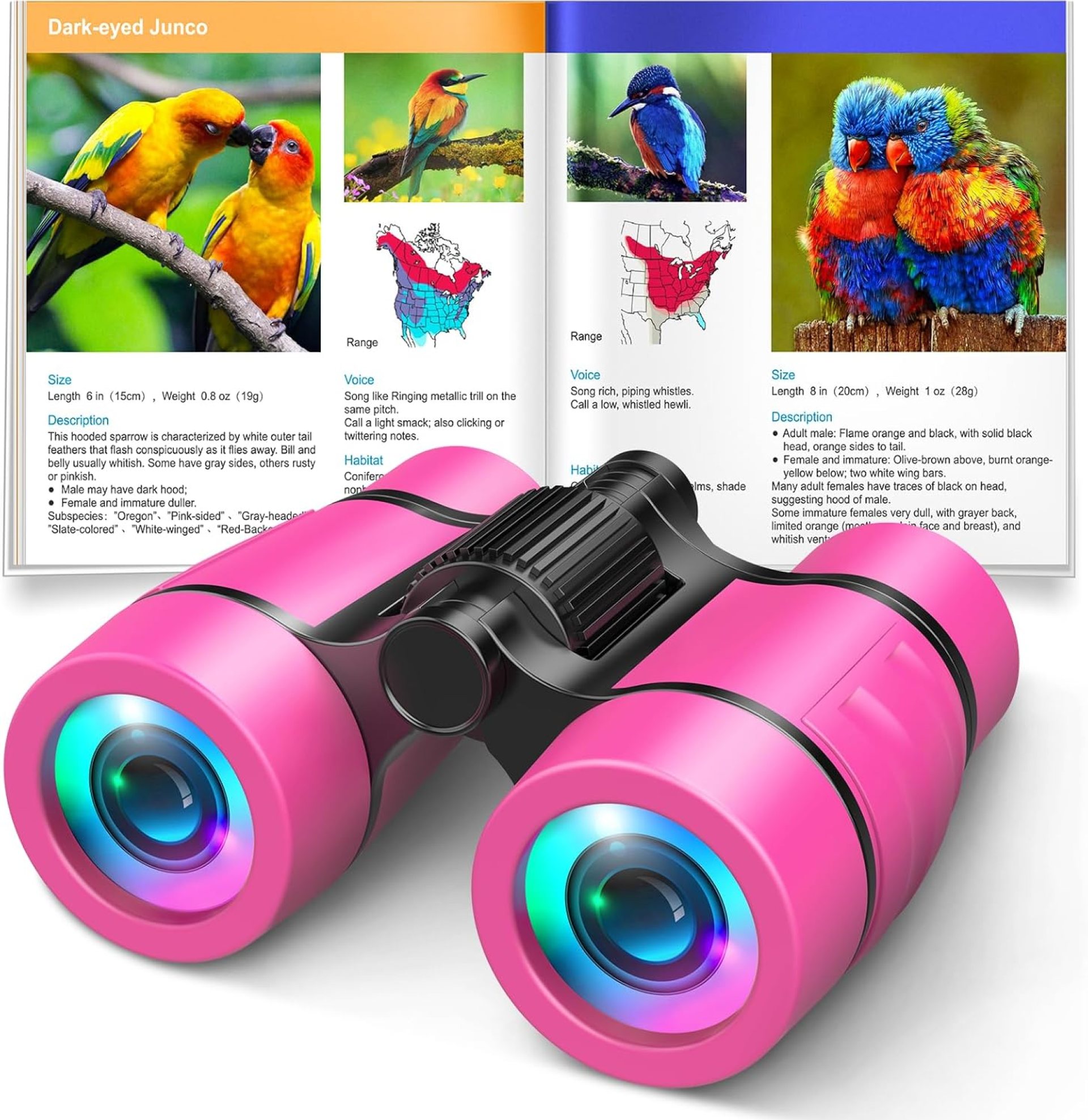 Toys for 3-7 Year Old Girls: LET’S GO! Binoculars for Kids Bird Watching|Hiking|Camping 4 5 6 7 8 Year Old Girl Boy Birthday Gifts Outdoor Learning Toy for Kid Ages 4-6 Toddler Gift Stuffers Toys for 3-7 Year Old Girls: LET’S GO! Binoculars for Kids Bird Watching|Hiking|Camping 4 5 6 7 8 Year Old Girl Boy Birthday Gifts Outdoor Learning Toy for Kid Ages 4-6 Toddler Gift Stuffers
