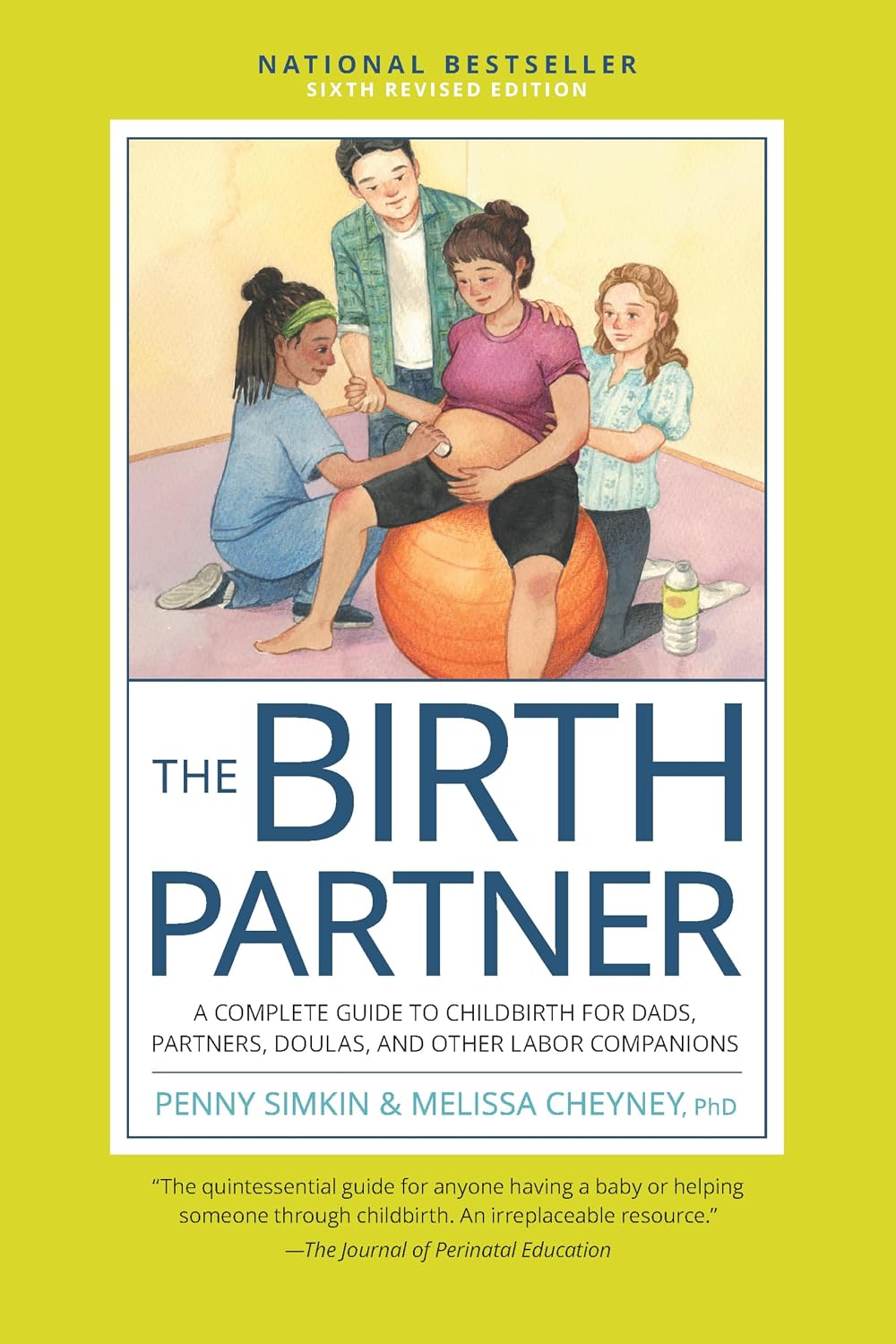 The Birth Partner, Sixth Revised Edition: A Complete Guide to Childbirth for Dads, Partners, Doulas, and Other Labor Companions The Birth Partner, Sixth Revised Edition: A Complete Guide to Childbirth for Dads, Partners, Doulas, and Other Labor Companions