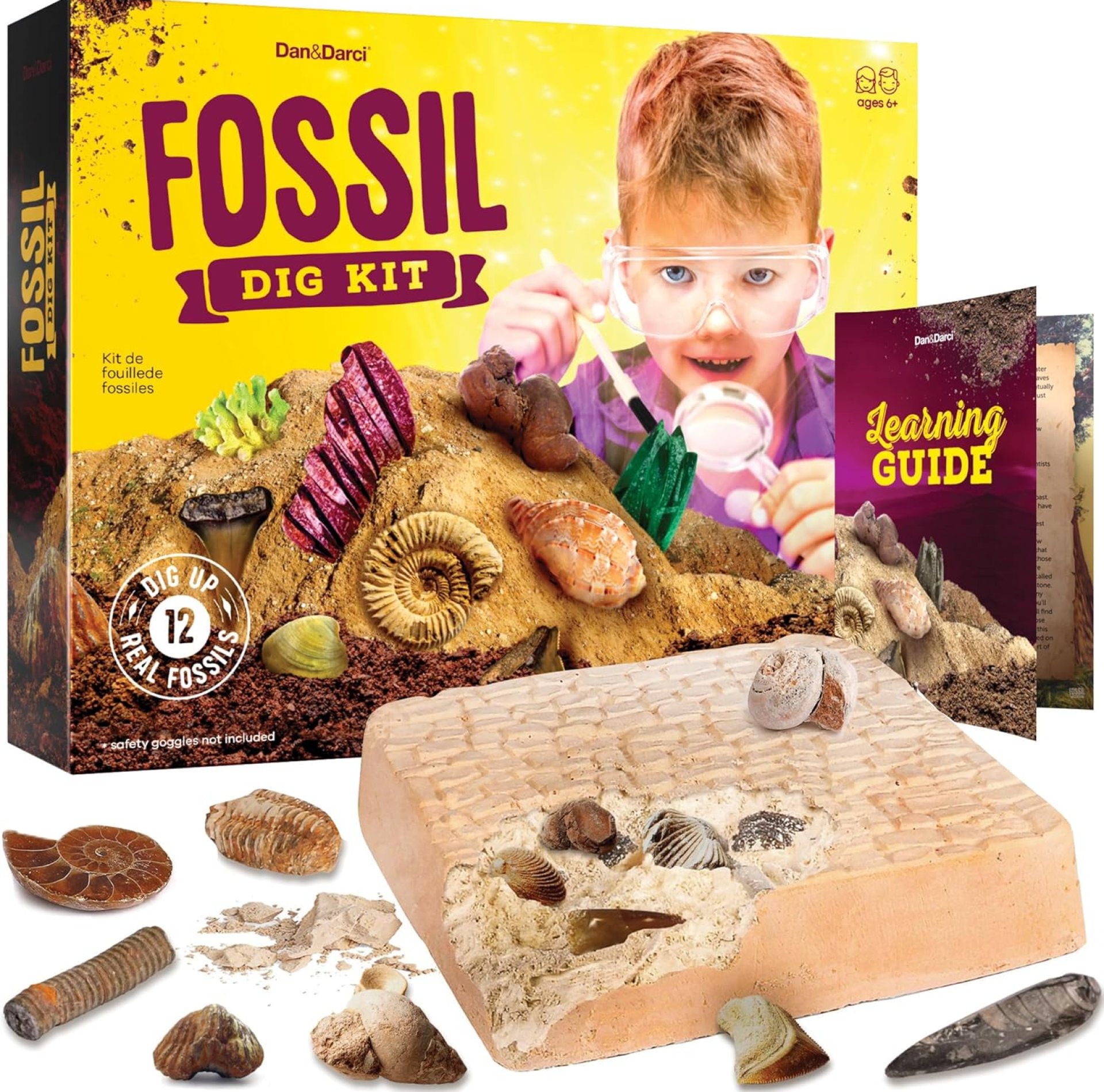 Dan&Darci Real Fossil Dig Kit for Kids – Science Kits for Boys & Girls Age 8-12 – Birthday Gift Ideas for 8, 9, 10, 11, 12 Year Old Boy or Girl – Fossils Digging STEM Toys for Ages 8-13 Dan&Darci Real Fossil Dig Kit for Kids – Science Kits for Boys & Girls Age 8-12 – Birthday Gift Ideas for 8, 9, 10, 11, 12 Year Old Boy or Girl – Fossils Digging STEM Toys for Ages 8-13