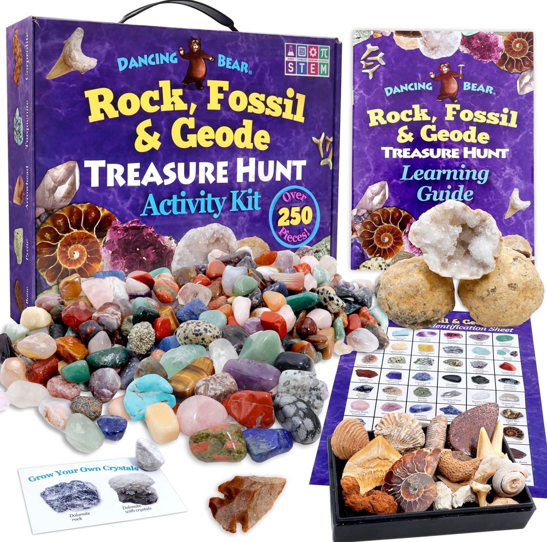 DANCING BEAR Rock, Mineral & Geodes Treasure Hunt Activity Kit (250 Pc Set) Real Shark Teeth Fossils, ID Sheet & Rock Book, STEM DANCING BEAR Rock, Mineral & Geodes Treasure Hunt Activity Kit (250 Pc Set) Real Shark Teeth Fossils, ID Sheet & Rock Book, STEM