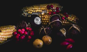 Shoshone traditional diet Shoshone traditional diet