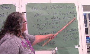 Shoshone language learning Shoshone language learning
