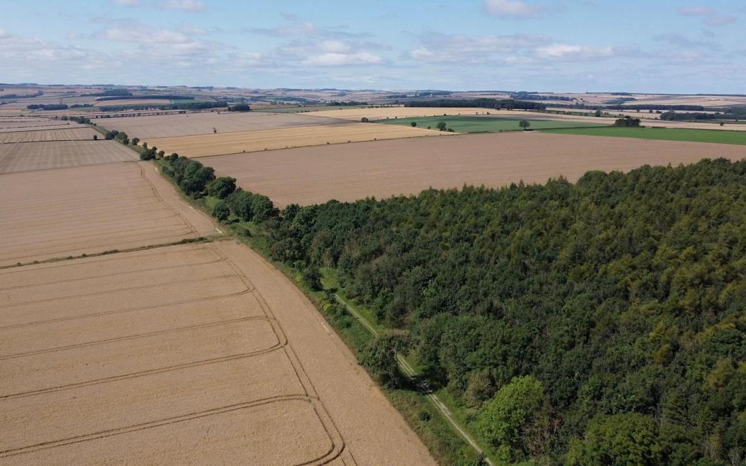 Plans for solar farm near Beverley revealed Plans for solar farm near Beverley revealed