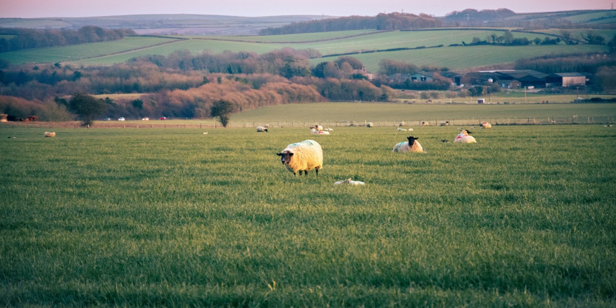 Rural Classifications | Economic Research Service Rural Classifications | Economic Research Service