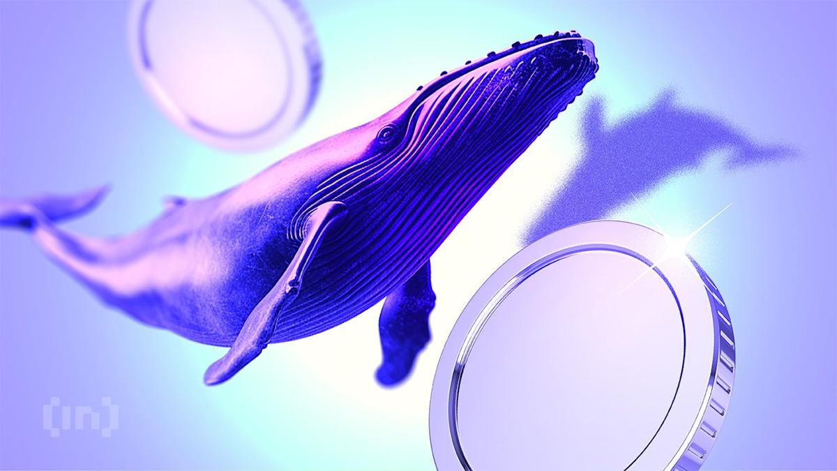 Are Crypto Whales Betting on More Upside or Preparing for a Pullback This Week? Are Crypto Whales Betting on More Upside or Preparing for a Pullback This Week?