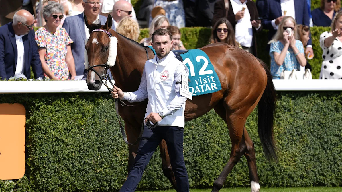 Jack Davison announces death of star sprinter She’s Quality Jack Davison announces death of star sprinter She’s Quality