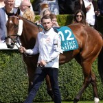 Jack Davison announces death of star sprinter She’s Quality Jack Davison announces death of star sprinter She’s Quality