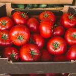 The FDA has updated a tomato recall to its highest risk warning of illness or death. Here’s how to check if your recent produce purchase may be impacted. The FDA has updated a tomato recall to its highest risk warning of illness or death. Here’s how to check if your recent produce purchase may be impacted.